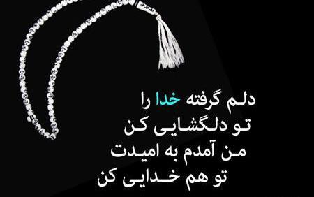 عکس نوشته دلم گرفت تو این قفس