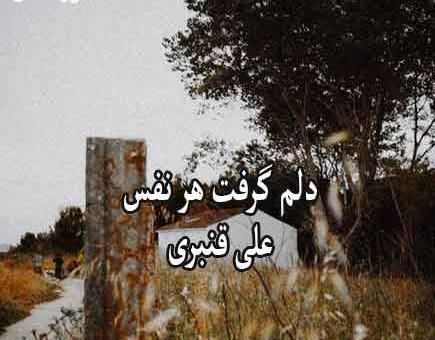 عکس نوشته دلم گرفت تو این قفس