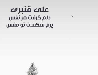 عکس نوشته دلم گرفت تو این قفس