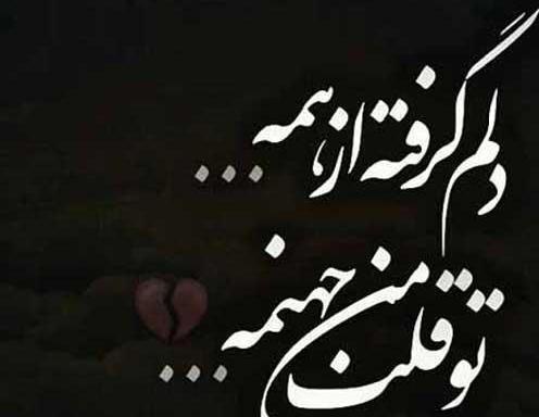 عکس نوشته دلم گرفت تو این قفس