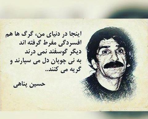 عکس نوشته دلم گرفت تو این قفس