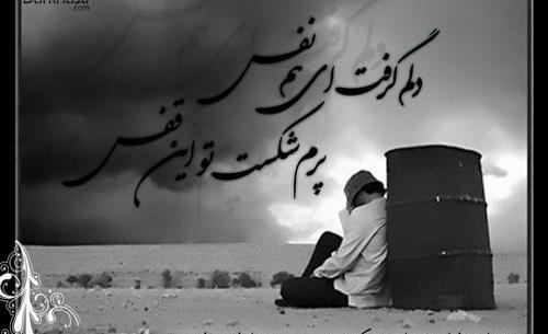 عکس نوشته دلم گرفت تو این قفس