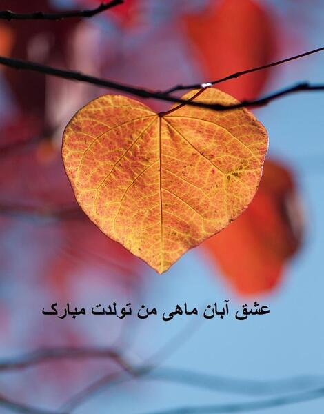 عکس نوشته تولد همسر آبانی