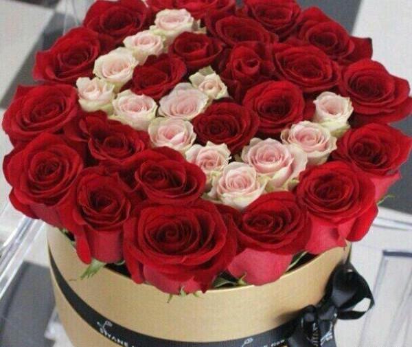 عکس نوشته حرف انگلیسی e