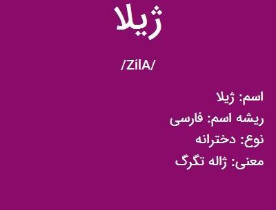 عکس نوشته اسم ژیلا به انگلیسی