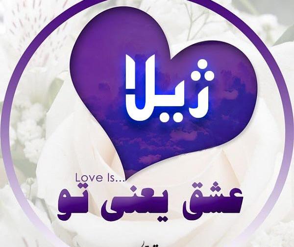 عکس نوشته اسم ژیلا به انگلیسی