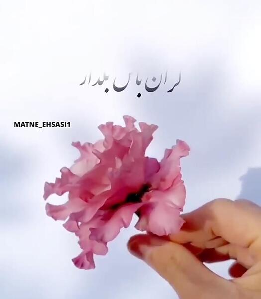 عکس نوشته با ارزش باش