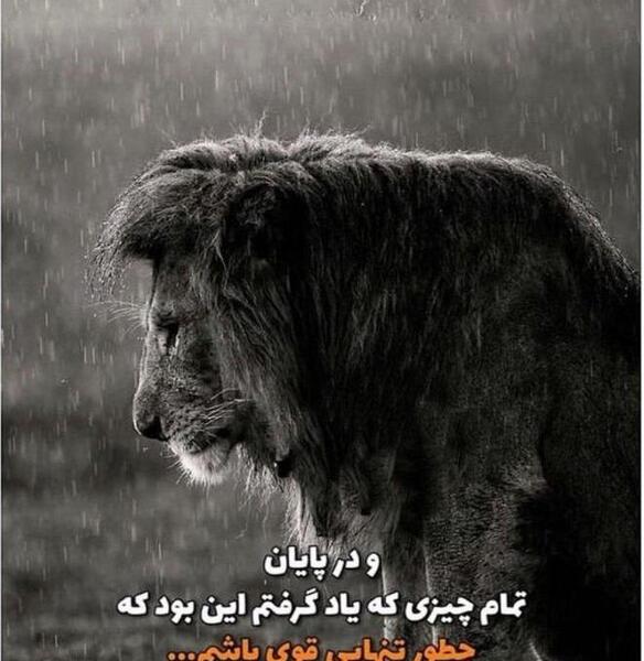 عکس نوشته تنهایی قوی باش