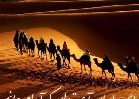 عکس نوشته ای ساربان آهسته ران کارام جانم میرود