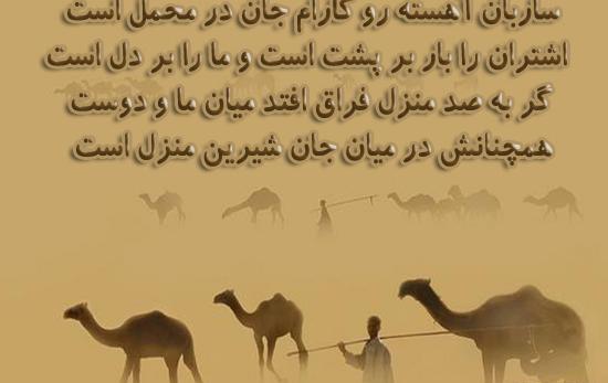 عکس نوشته ای ساربان آهسته ران کارام جانم میرود