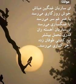 عکس نوشته ای ساربان آهسته ران کارام جانم میرود