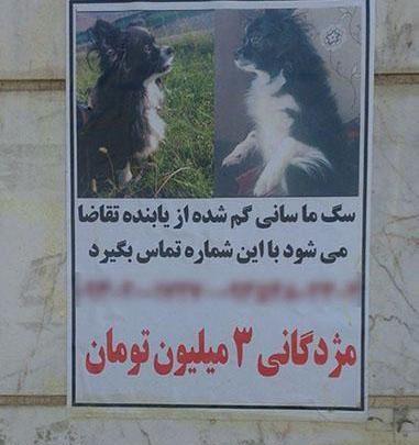 عکس نوشته جوک جعفر
