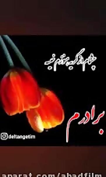 عکس نوشته یادبود برادر