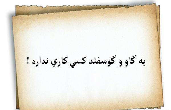 عکس نوشته ضرب المثل دخترانه