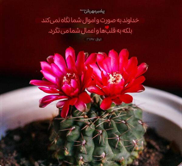 عکس نوشته درباره ظاهر و باطن