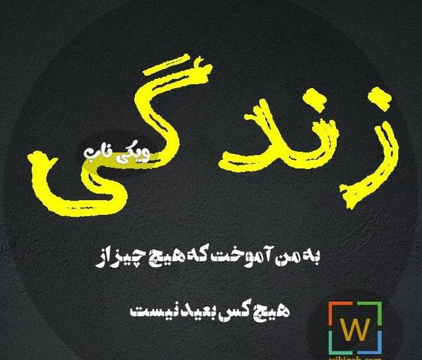 عکس نوشته زندگی به من آموخت هیچ چیز از هیچکس