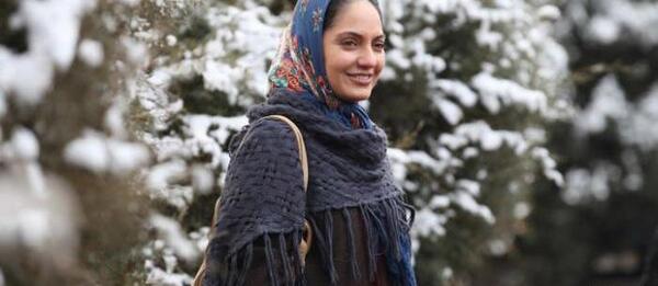 عکس برف روی کاج
