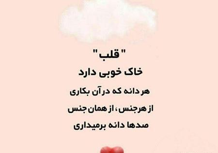 عکس نوشته قدر نشناسی محبت