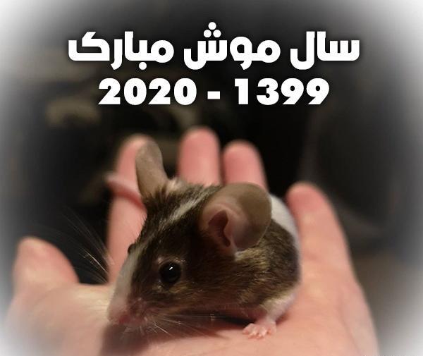 عکس موش برای پروفایل