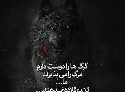 عکس نوشته ی خاص بودن