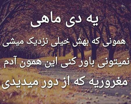 عکس متولدین دی ماهی ها