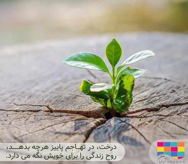 عکس نوشته روز دانشجو گرامی باد