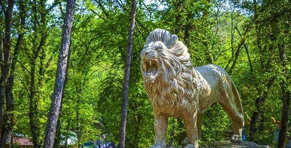 عکس ویلاهای جنگلی شمال