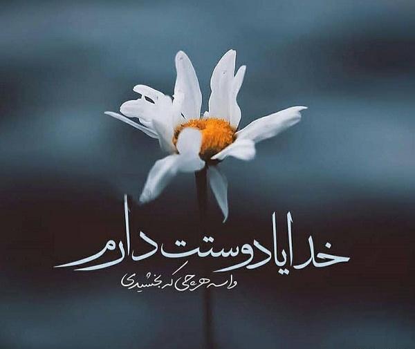 عکس نوشته های عاشقتم خدا