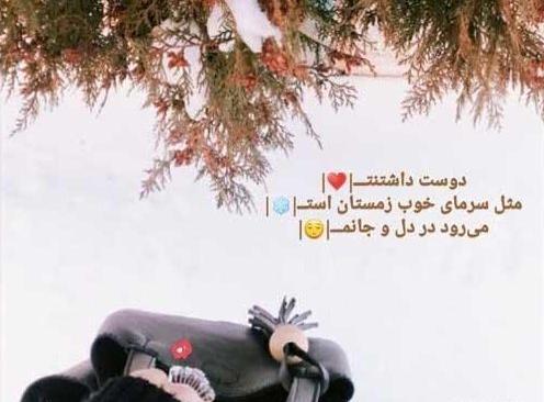 عکس تولد شوهر دی ماهی