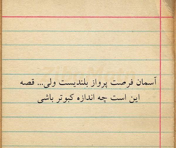 عکس نوشته آسمان فرصت پرواز بلند است