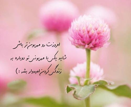 عکس نوشته باید امروز حواسم باشد