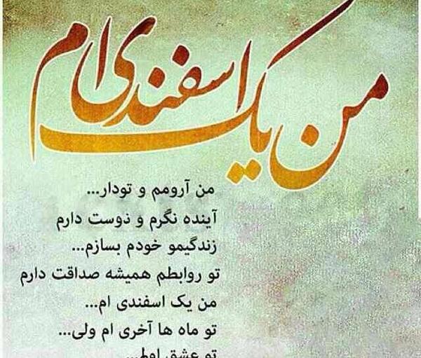 عکس تولد یه اسفند ماهی نزدیکه