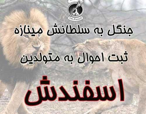 عکس تولد یه اسفند ماهی نزدیکه