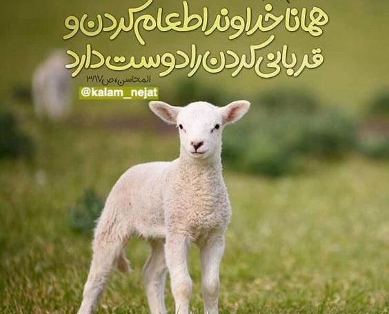 عکس نوشته جدید تبریک عید قربان