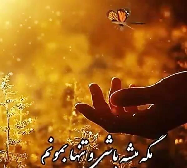 عکس نوشته مگه میشه باشی و تنها بمونم