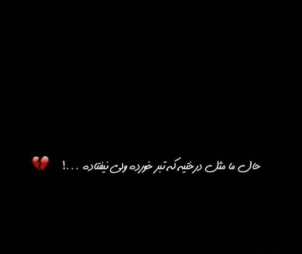 عکس نوشته من یه درختم که عاشق تبر شده