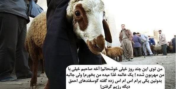 عکس نوشته خنده دار عید قربان