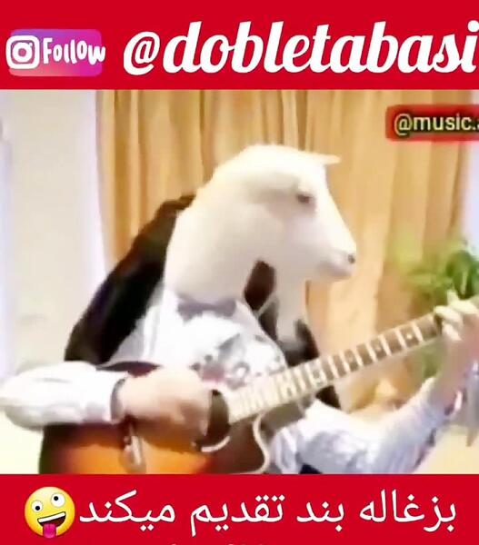 عکس نوشته خنده دار عید قربان