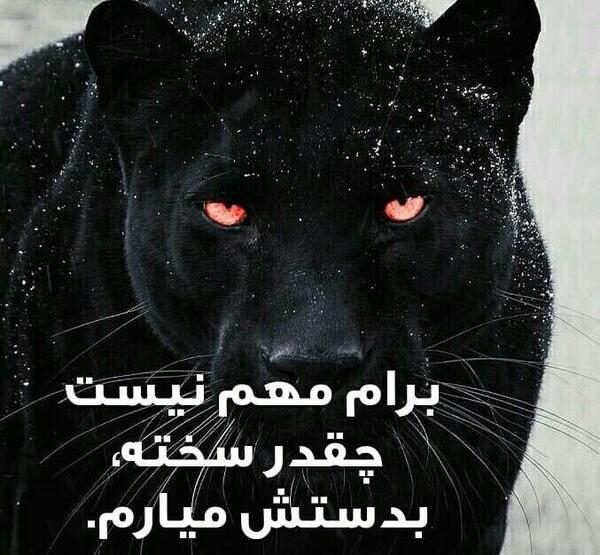 عکس نوشته انرژی مثبت کارتونی