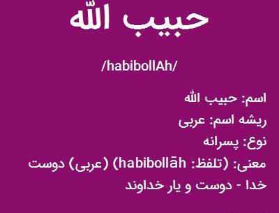عکس نوشته حبیب الله