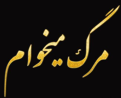 عکس نوشته قلبتو میخوام بدون قافش