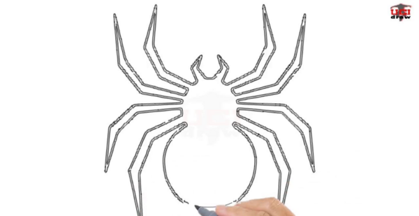 عکس نقاشی ساده عنکبوت