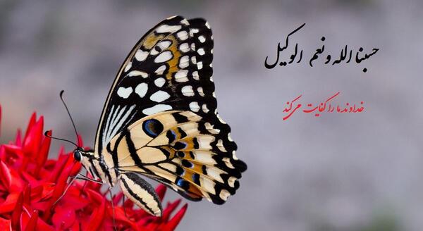 عکس با نوشته حسبی الله
