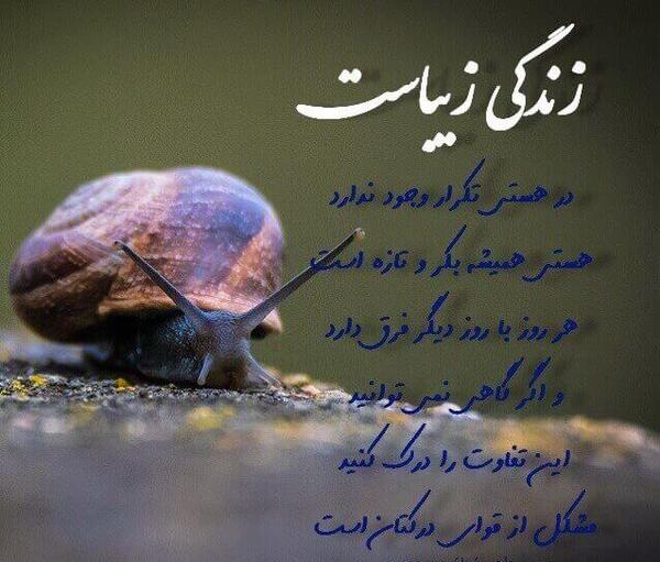 عکس نوشته زندگی خیلی زیباست