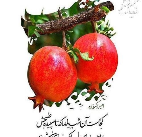 عکس شب یلدا برای گروه