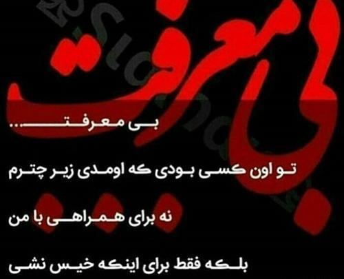 عکس نوشته فرصت طلب