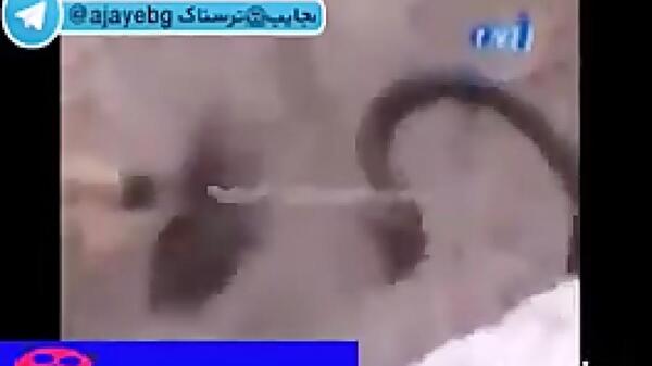 جهنم عکس مار در قبر