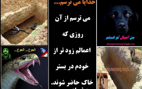 جهنم عکس مار در قبر