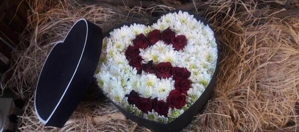 عکس نوشته با حرف s