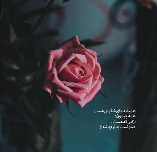 عکس نوشته قشنگ خدایا شکرت